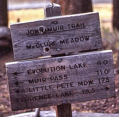 mcclure meadow